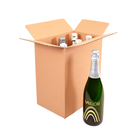 CAJA REFORZADA CON COLMENA 6 BOT CAVA